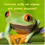 Магнит акриловый «Сколько жабу не корми...»