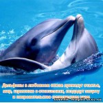 Магнит акриловый «Фен-шуй. Дельфины»