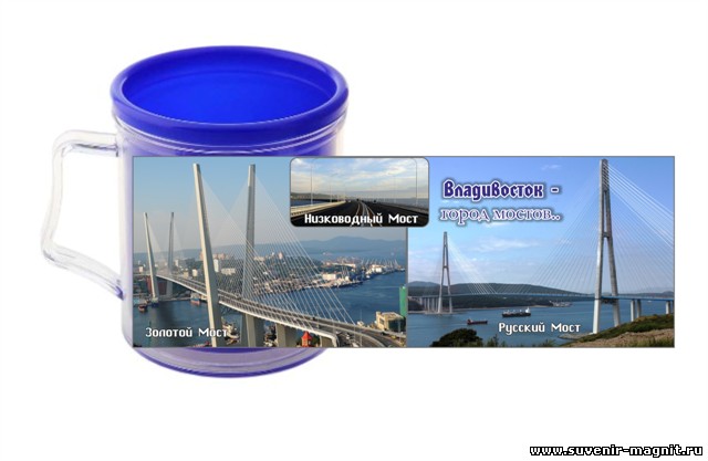 Кружка пластик «Владивосток - город мостов»